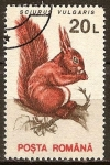 Sellos del Mundo : Europa : Rumania : Ardilla (Sciurus vulgaris).