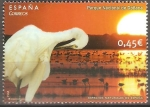 Stamps Spain -  ESPACIOS  NATURALES  DE  ESPAÑA.  PARQUE  NACIONAL  DE  DOÑANA.