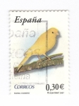 Stamps Spain -  Fauna.Canario