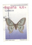 Stamps Spain -  Fauna.Graelsia isabelae