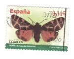 Sellos de Europa - Espaa -  Fauna.Artimelia latreillei