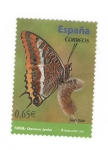 Sellos de Europa - Espa�a -  Fauna.Charaxes jasius