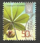 Stamps : Europe : Ukraine :  Flor aesculus hippocastanum