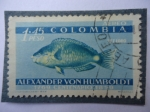 Sellos de America - Colombia -  Pez Loro- Centenario de Alexander Von Humboldt 1769-1859 