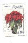 Stamps Spain -  Flora.Flor de Pascua