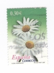 Stamps Spain -  Flora.Margarita
