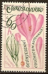 Sellos de Europa - Checoslovaquia -  Plantas Medicinales,(Azafrán Meadow).
