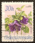 Sellos del Mundo : Europa : Checoslovaquia : Cobaea scandens.