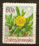 Sellos de Europa - Checoslovaquia -  Glottiphyllum davisii.