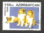 Stamps : Asia : Azerbaijan :  Perro de raza