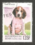 Sellos de Africa - Benin -  Perro de raza, Beagle