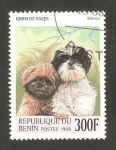 Stamps Benin -  Perros de raza, Shih Tzu