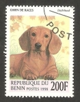 Sellos de Africa - Benin -  Perro de raza, Perro salchicha
