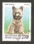 Sellos de Africa - Benin -  Perro de raza, Cairn Terrier