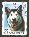 Stamps Benin -  Perro de raza, Malamute de Alaska