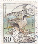 Stamps Germany -  AVES