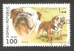 Stamps Somalia -  Perro de raza, Bulldog