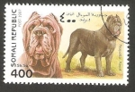 Stamps Somalia -  Perro de raza