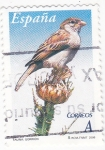 Stamps Spain -  FAUNA- GORRIÓN  (7)