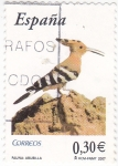 Stamps Spain -  FAUNA- ABUBILLA