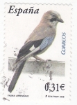 Stamps Spain -  FAUNA- ARRENDAJO  (7)