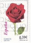 Stamps Spain -  FLORA- Rosa    (7)