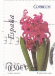 Stamps Spain -  FLORA- Jacinto   (7)