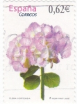 Stamps Spain -  FLORA- Hortensia    (7)