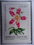 Stamps Argentina -  Palo Borracho (Chorisia Speciosa) 
