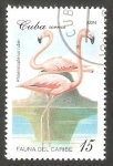 Stamps Cuba -  Fauna del Caribe