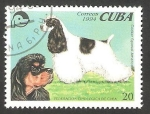 Sellos de America - Cuba -  Perro de raza