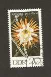 Stamps Germany -  Flor Selenicerus grandiflora