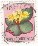 Stamps Democratic Republic of the Congo -  Flores- Costus