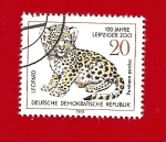 Stamps Germany -  Leopardo