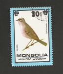 Sellos de Asia - Mongolia -  Ave Sylvia nissoria