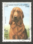 Stamps Afghanistan -  Perro de raza