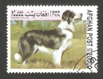 Sellos de Asia - Afganist�n -  Perro de raza