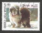 Stamps Afghanistan -  Perro de raza
