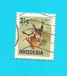 Sellos del Mundo : Africa : Zimbabwe : RHODESIA  Flora y Fauna    Antilope