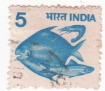 Sellos de Asia - India -  Fauna marína