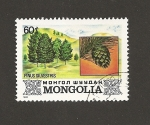 Sellos de Asia - Mongolia -  Pinos siberianos