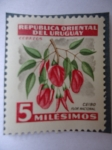 Stamps Uruguay -  Ceibo - Flor Nacional