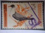 Stamps Uruguay -  Gaviota Cabeza Negra (Larus Ridebundis Maculipennis)
