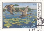 Stamps Russia -  patos volando