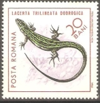 Stamps Romania -  REPTILES.  LACERTA  TRILINEATA  DOBROGICA.