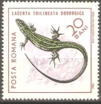 Sellos de Europa - Rumania -  REPTILES.  LACERTA  TRILINEATA  DOBROGICA.