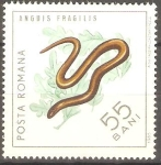 Stamps Romania -  REPTILES.  ANGUIS  FRAGILIS