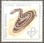 Stamps Romania -  REPTILES.  VIPERA  AMMODYTES.     