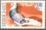 Stamps : Europe : Romania :  AVES.  PORUMBEL  URIAS  DE  SALONTA.