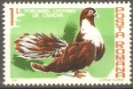 Stamps Romania -  AVES.  PORUMBEL  CASTANIU  DE  CRAIOVA.